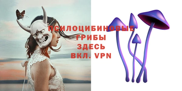 дурь Инта