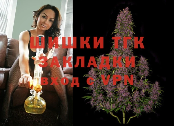 дурь Инта
