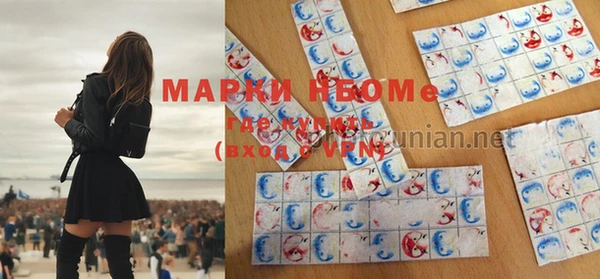 дурь Инта
