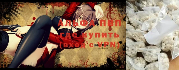 ПСИЛОЦИБИНОВЫЕ ГРИБЫ Иннополис