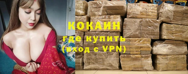 дурь Инта