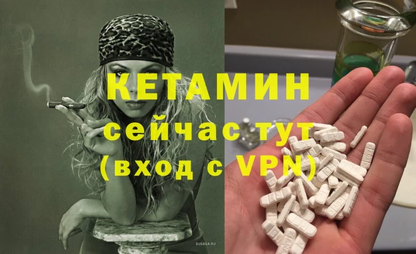 ПСИЛОЦИБИНОВЫЕ ГРИБЫ Иннополис