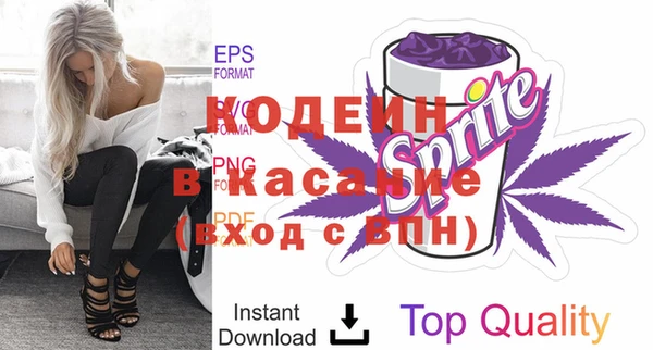 дурь Инта