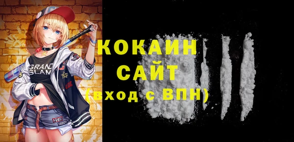 дурь Инта