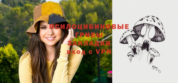 ПСИЛОЦИБИНОВЫЕ ГРИБЫ Иннополис