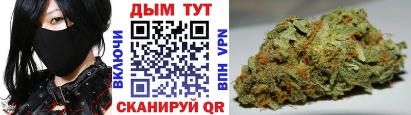 Бошки марихуана Amnesia  Купить где  Отрадное 